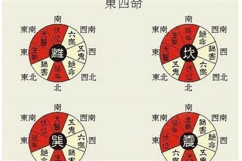 东四命西四命对照表|东四命西四命速查表 命卦对照表